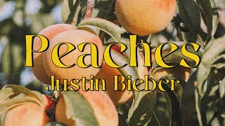 Bieber Fever Brasil  Fã Site on X: Confira a letra e tradução da música  Peaches: BIEBER ON NPR #JFCJustinBieber  / X