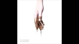 Video thumbnail of "Plgrms -Fools And Their Gold"