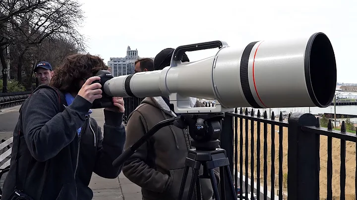 Quick Look | Canon Super Telephoto 1200mm f/5.6L - DayDayNews