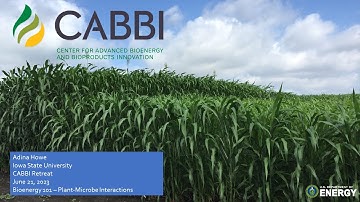 Bioenergy 101:  Plant-Microbe Interactions