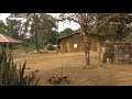 Cameroun  paul biya en campagne  maroua