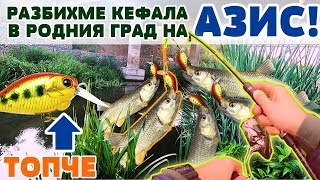 РАЗБИХМЕ КЕФАЛА В РОДНИЯ ГРАД НА АЗИС Риболов на кефал, ( kefal клен, chub ) РАЗБИХМЕ КЕФАЛА В РОДНИЯ ГРАД НА АЗИС Риболов на кефал, ( kefal клен, chub )