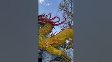 Rồng ở chùa Thái Sơn Núi Cậu 🐉 #travel #binhduong #vietnam