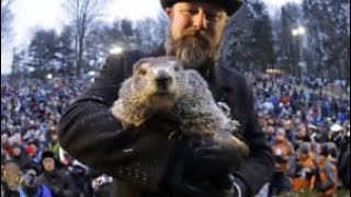 Come on Phil! #groundhogday by Grand Solar Minimum GSM News 1,593 views 4 years ago 1 minute, 1 second