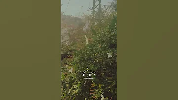 ويا دني شتي ياسمين فيروز فيروزيات فيروزيات صباحية حالات صباح الخير 