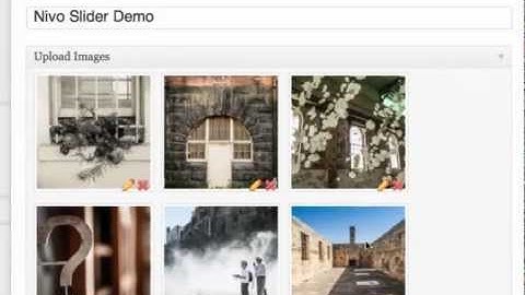 Nivo Slider WP Plugin: Easy Website Photo Gallery