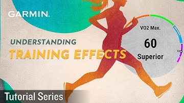 Tutorial - Understanding Training Effects
