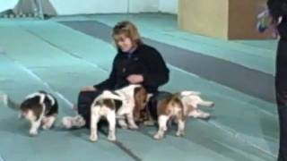VID00087.AVI