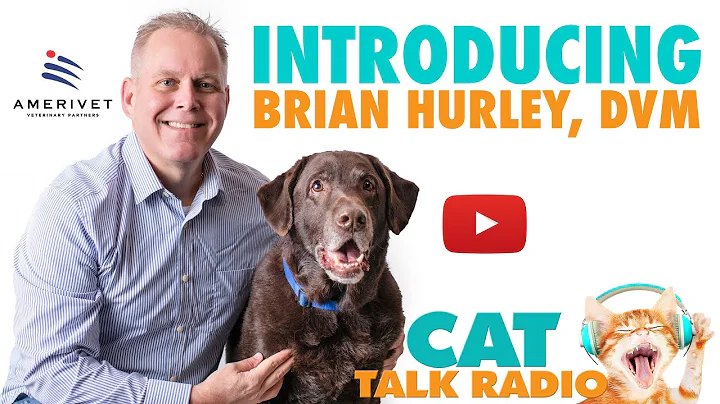 Introducing Brian Hurley, DVM to Cat Talk Radio
