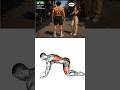 Only 2 Chest Exercises That Make Your Upper Body Look Insane! 💪#shorts