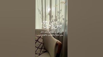تلاوة هادئة من سورة نوح |القارئ محمد محمود طنطاوى