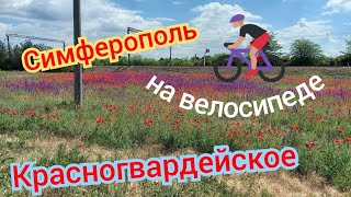 КРЫМСКИЕ ВЕЛОИСТОРИИ.СИМФЕРОПОЛЬ,КРАСНОГВАРДЕЙСКОЕ.СТЕПНОЙ КРЫМ.