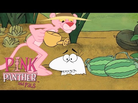 Pink Panther, Panther of the World! | 50 Minute Nature Compilation