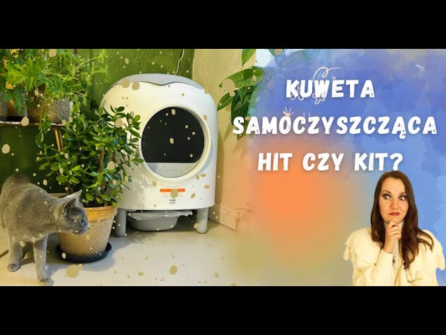 Cecotec Pumba 8000 Selbstreinigende Katzentoilette – WiFi, 9L Kapazität, Infrarotsensor