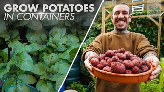 The Easiest Way to Grow Potatoes in Containers