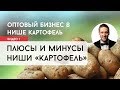 Оптовый бизнес на картофеле: 12 плюсов и 6 минусов ниши | Артём Бахтин