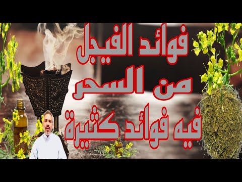 الفيجل داوء للسحر والعين والمس والتقاف وكثير من الأمراض