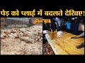 Making of Plywood देखिए Asia No 1 Ply Wood Industry Yamunanagar में | Haryana | Wood | Rajat Sain