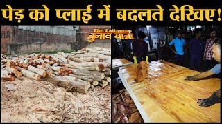Making of Plywood देखिए Asia No 1 Ply Wood Industry Yamunanagar में | Haryana | Wood | Rajat Sain