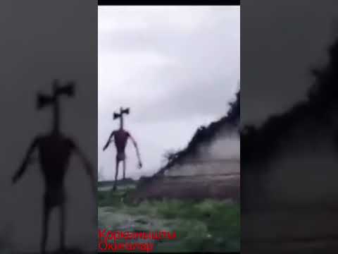 Сиренобас