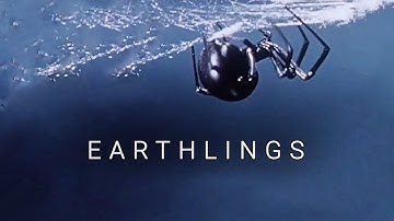 Earthlings - Dark Ambient Drone Music Video - Korg Minilogue XD & Moog Mother-32