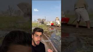ELEFANTE PERSEGUE TURISTAS EM CANOA | Yago Stephano #biologia #animal