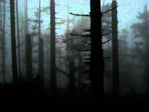 Phase IV - The Sign Of Your Coming (Extended Version)