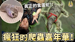 Taiwan Reptile Festival! The stunning milliondollar lizard The craziest pet exhibition!