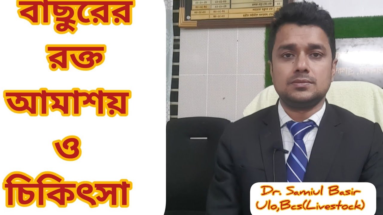 বাছুরের রক্ত আমাশয়। বাছুরের রক্ত আমাশার চিকিৎসা। বাছুরের আমাশয়ের চিকিৎসা।গরুর রক্ত আমাশয়ের চিকিৎসা।