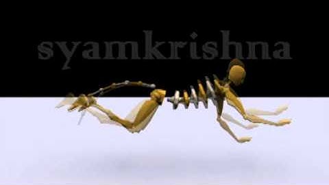 Tiger-Biped animation