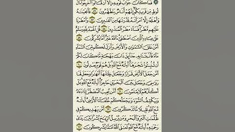 سورة النمل من الآية ٥٦ إلى الآية ٦٣بصوت القارئ ماهر المعيقلي