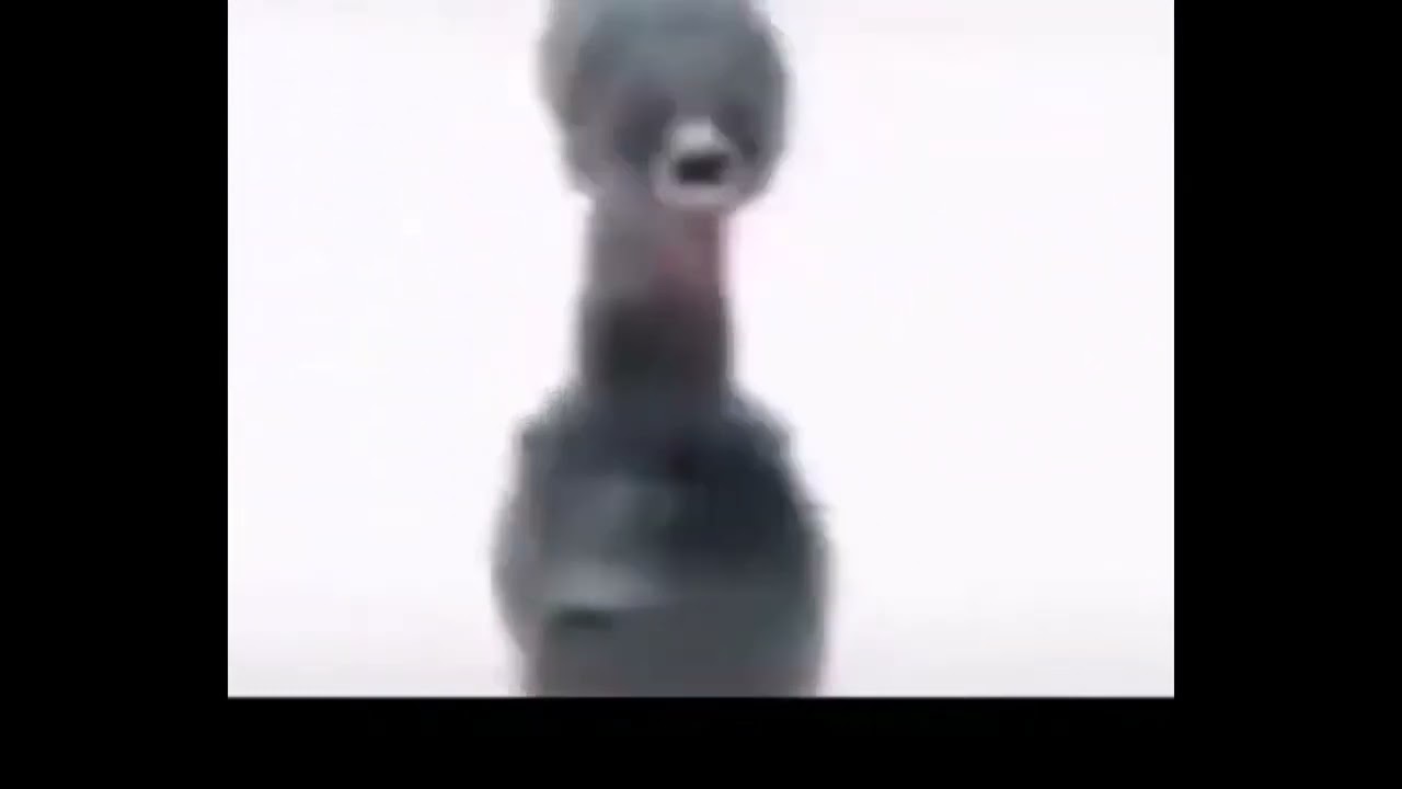 Дрель крутится под музыку из нокии - YouTube