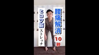 10秒で腰痛を消す！腓骨筋ストレッチ！#shorts