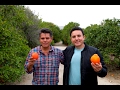 Rancho de Trinidad "Las Mejores Naranjas de California"