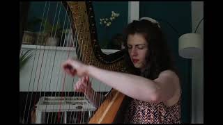 Nessun Dorma - Harp Cover