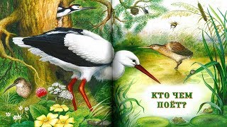 КТО ЧЕМ ПОЕТ? .В.Бианки аудио сказка: Аудиосказки-Сказки на ночь.Слушать сказки онлайн КТО ЧЕМ ПОЕТ? .В.Бианки аудио сказка: Аудиосказки-Сказки на ночь.Слушать сказки онлайн