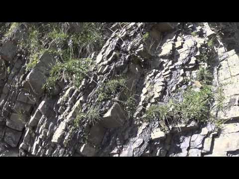 ხახაბოს ხეობა 20-21.06.2015