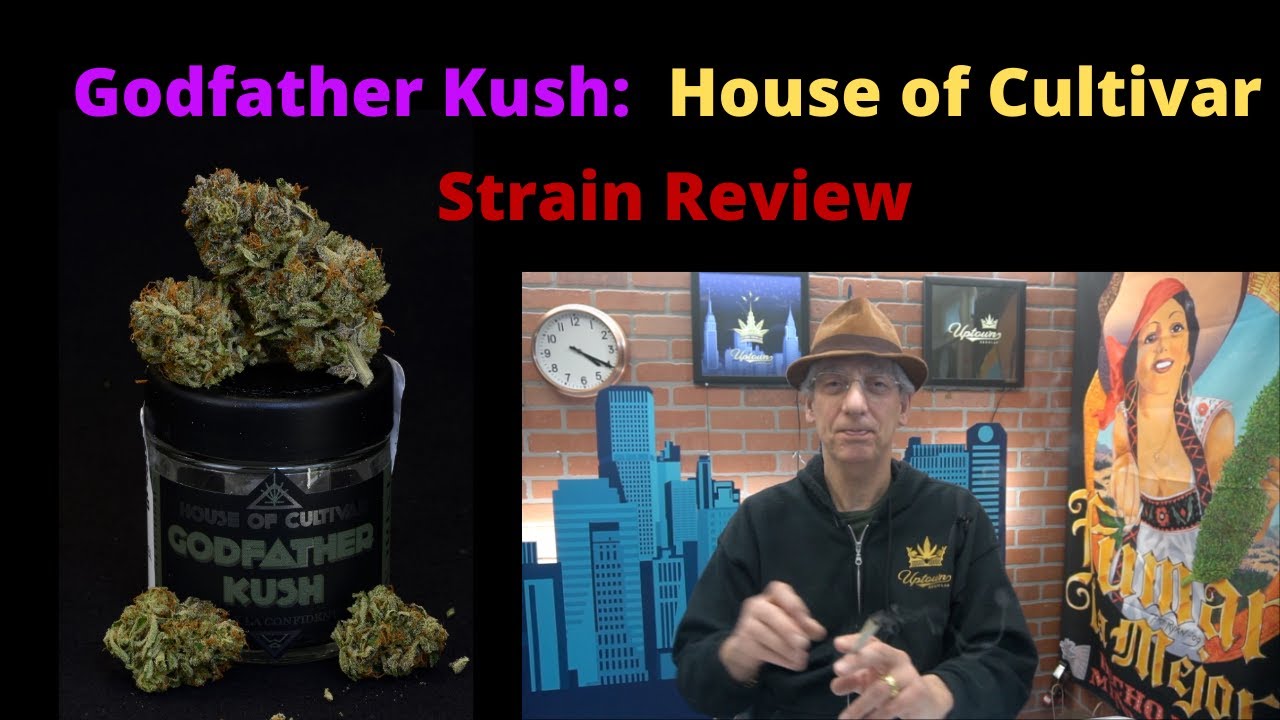 Godfather Kush from House of Cultivar: Cannabis Strain Review