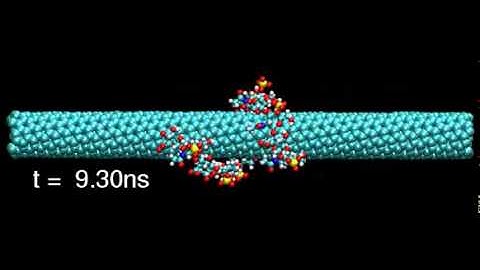A polymer wraps onto a carbon nanotube