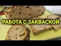 хлеб на ржаной закваске | вывожу пшеничкую закваску