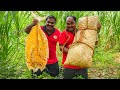 Katta patrai karuvadu  karuvadu kuzhambu recipe  world food tube