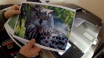 Ricoh white lines on the copies problem MPC 3003 3004 3503 3504