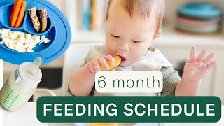 Day in the Life Feeding a 6 Month Baby (Meals, Schedules, Milk Feeds)