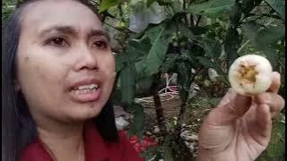 Between sincere and not sincere