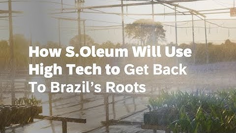 How S.Oleum Will Use High Tech to Get Back to Brazil’s Roots
