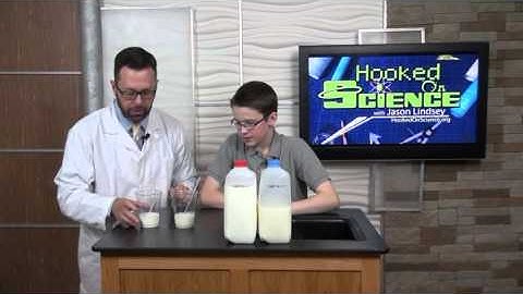 Milk Bubbles Experiment of the Week