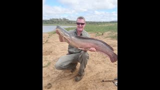 Catching monster Catfish on light tackle