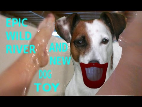 like a prayer 12-07-2014 vlog day 115 epic wild river and new dog toy