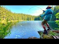 Giant trout fishing in tiny mountain lake catch  cook