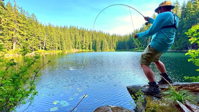 Creek Fishing for BIG TROUT! (Rainbow & Tiger Trout) 